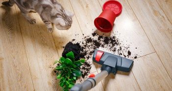 Electrolux støvsuger test 2019 – De bedste Electrolux støvsugere – Testvinder Guide Electrolux stoevsuger test