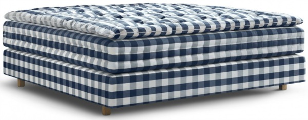 Hastens_Auroria_kontinentalseng