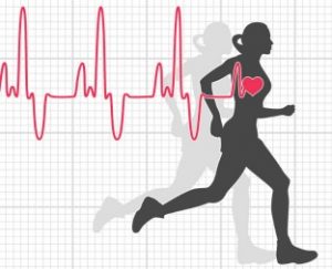 puls