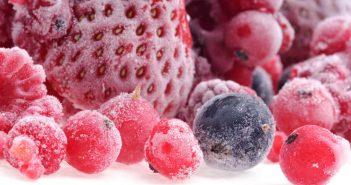Skabsfryser Test 2019 – Her er de bedste skabsfrysere frusen frukt