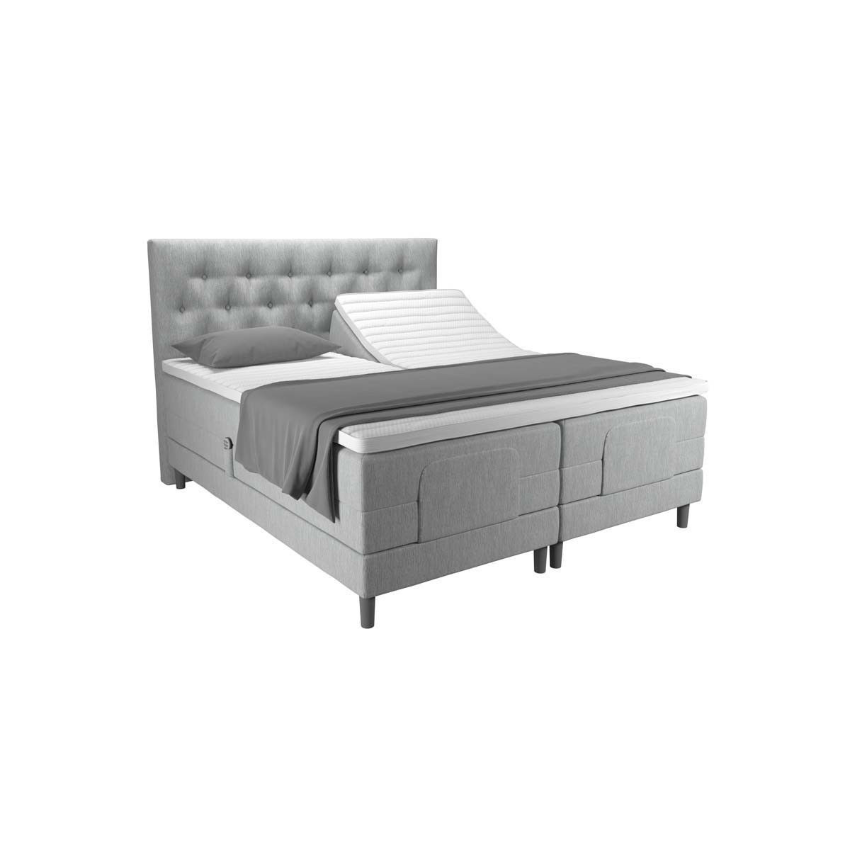 Wonderland Sonate 522