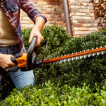 HedgeTrimmer